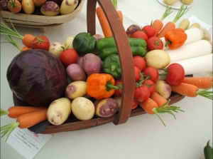 Swallowfield Show - Horticultural 4